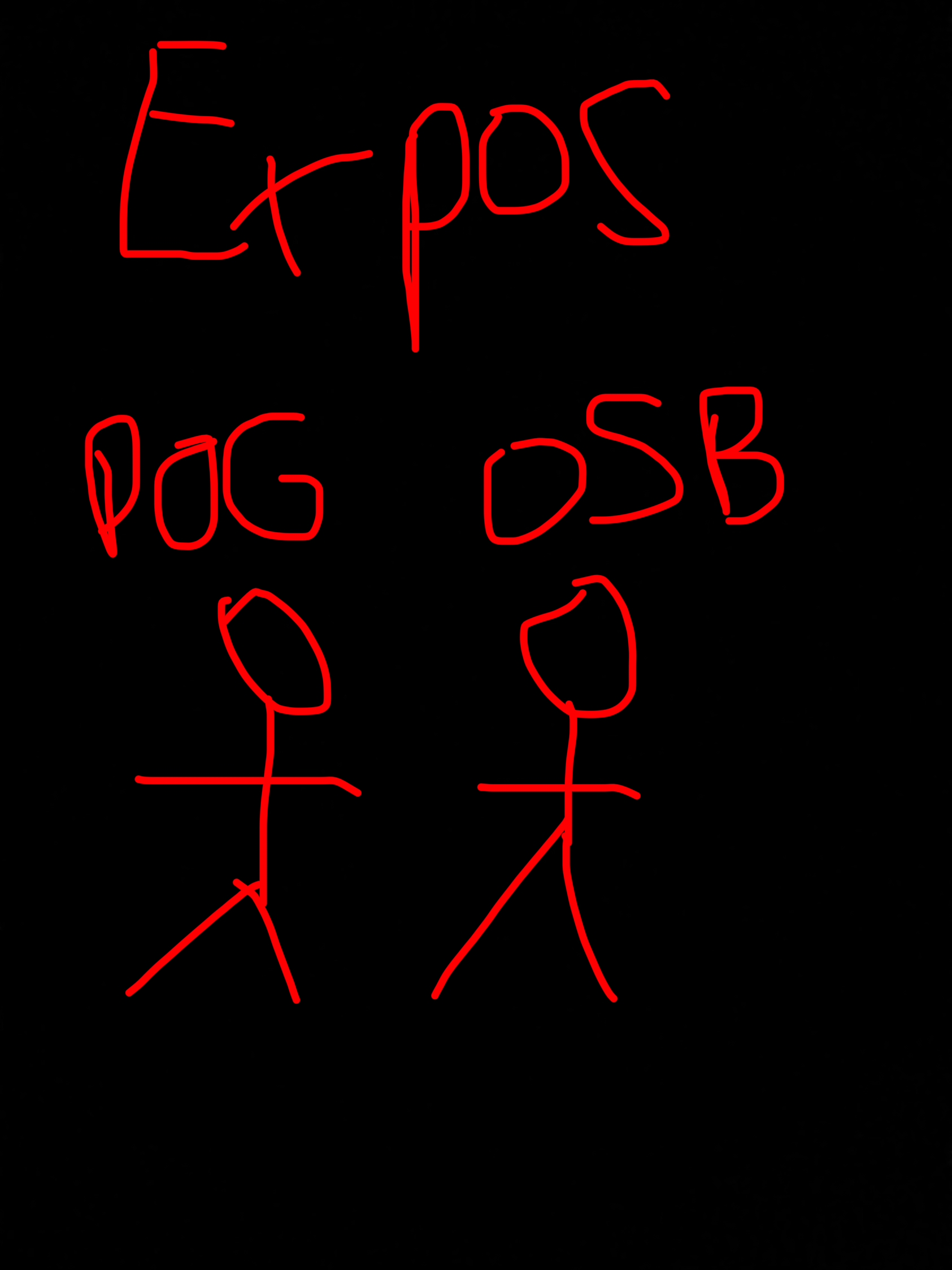 Expos Week 2 illustrated team photo